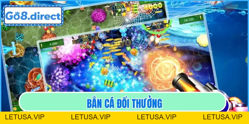 Tin tức - letusa